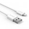 ORICO AL01-10-WH-BP USB A TO Lightning 1M Cable